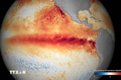 Hình ảnh biểu thị mức nhiệt độ bề mặt đại dương do NOAA công bố ngày 9/10. (Nguồn: Reuters/TTXVN)
