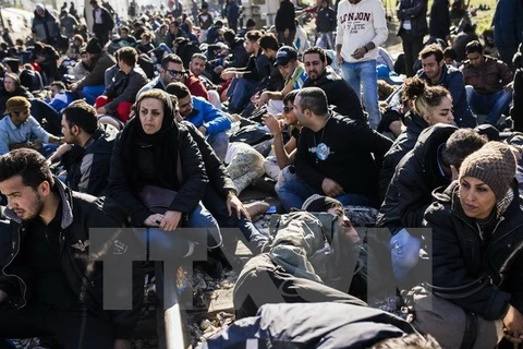Người di cư từ Liberia, Maroc, Pakistan, Sri Lanka và Sudan tại khu vực Gevgelija ở biên giới Macedonia-Hy Lạp ngày 19/11. (Nguồn: AFP/TTXVN)