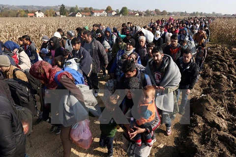 Người di cư di chuyển tới trại tị nạn ở Rigonce, gần biên giới với Croatia. (Nguồn: AFP/TTXVN)