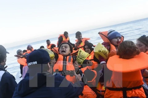 Người di cư tới đảo Lesbos, Hy Lạp sau hành trình vượt biển Aegean từ Thổ Nhĩ Kỳ ngày 14/11. (Nguồn: AFP/TTXVN)