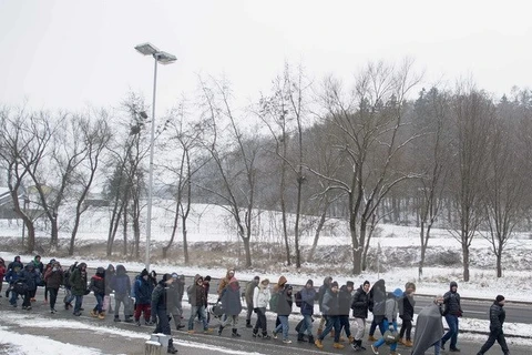Người tị nạn tại khu vực viên giới Slovenia-Áo. (Nguồn: AFP/TTXVN)