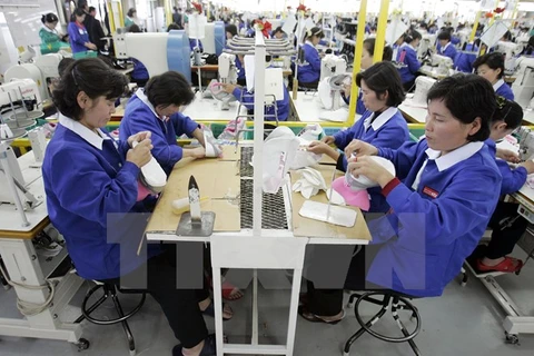 Công nhân Triều Tiên làm việc tại nhà máy sản xuất giầy của Hàn Quốc ở khu công nghiệp chung Kaesong. (Nguồn: AFP/TTXVN)