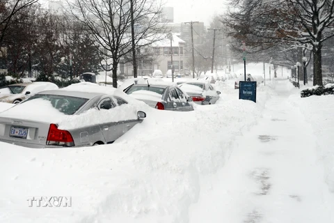 Nhiều ôtô bị tuyết lấp kín tại Washington, Mỹ. (Ảnh: Thanh Thuận/TTXVN)