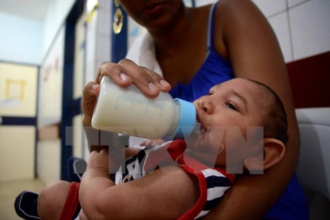 Em bé bị mắc chứng đầu nhỏ được theo dõi tại bệnh viện Oswaldo Cruz ở Cabo de Santo Agostinho thuộc Pernambuco, đông bắc Brazil, ngày 1/2. (Nguồn: THX/TTXVN)