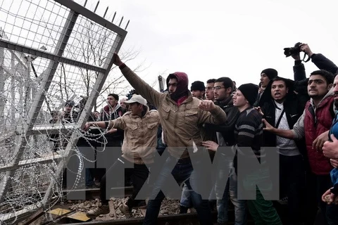 Hàng trăm người di cư Iraq và Syria tìm cách hạ đổ hàng rào dây thép gai được dựng lên tại biên giới Macedonia với Hy Lạp. (Nguồn: AFP/TTXVN)