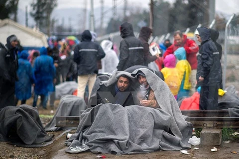 Người tị nạn chờ đợi qua khu vực biên giới Hy Lạp- Macedonia. (Nguồn: AFP/TTXVN)