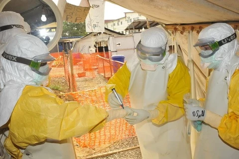 Nhân viên y tế điều trị cho bệnh nhân Ebola tại bệnh viện Donka ở Conakry, Guinea. (Nguồn: AFP/TTXVN) 