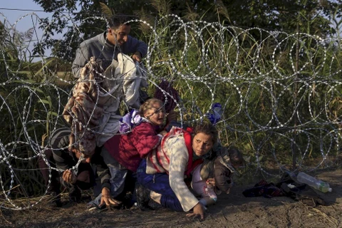 Những người tị nạn vượt qua hàng rào để vào Hungary ngày 27/8/2015. (Nguồn: Reuters)