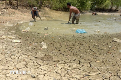 Một hồ cạn khô nước do hạn hán và nắng nóng kéo dài tại tỉnh Kandal ngày 27/4. (Nguồn: AFP/TTXVN)