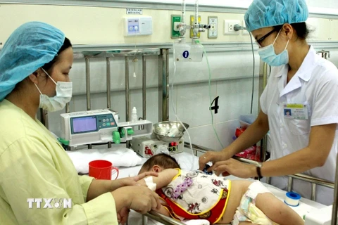 Bộ Y tế khuyến cáo người dân về bệnh viêm não Nhật Bản 