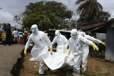 Việt Nam chuẩn bị diễn tập quy mô đối phó với dịch bệnh Ebola