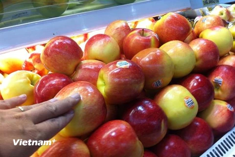 Vi khuẩn có trong táo nhập khẩu từ Hoa Kỳ nguy hiểm như thế nào? 