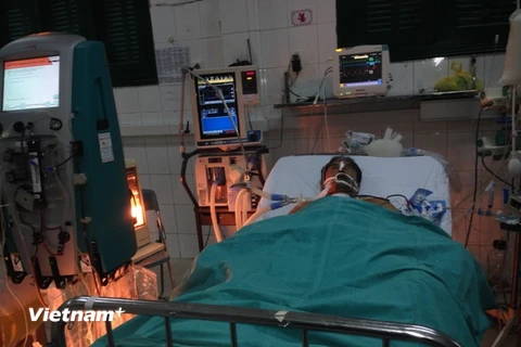 Bệnh nhân đang được điều trị tích cực tại Bệnh viện Việt Đức. (Ảnh: Xuân Vinh/Vietnam+)