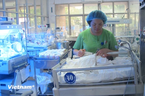 Chăm sóc trẻ mới sinh tại Bệnh viện Phụ sản Trung ương. (Ảnh: T.G/Vietnam+)