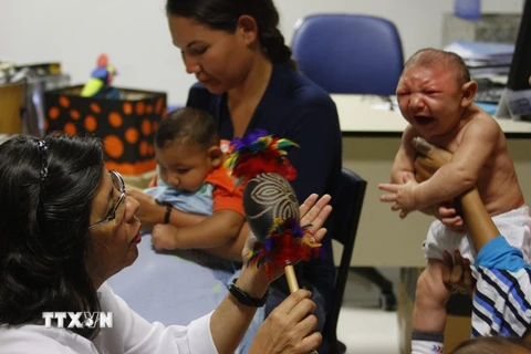 Trẻ em bị mắc chứng bệnh đầu nhỏ do nhiễm virus Zika được điều trị tại Brazil. (Ảnh: THX/TTXVN)