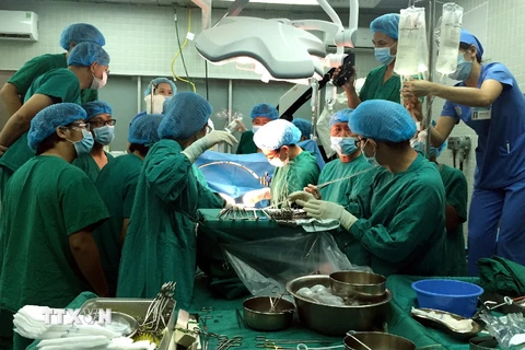 Một ca ghép tạng ở Bệnh viện Việt Đức. (Nguồn: TTXVN phát)
