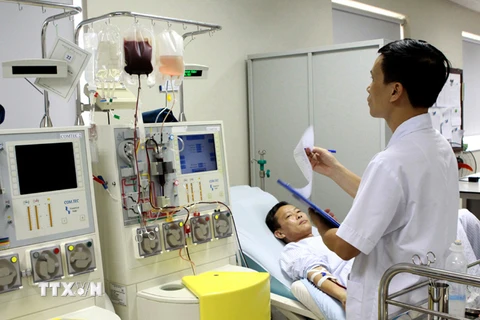 Ghép tế bào gốc điều trị cho bệnh nhân mắc các bệnh về máu tại Viện Huyết học-Truyền máu Trung ương. (Ảnh: TTXVN/Vietnam+)