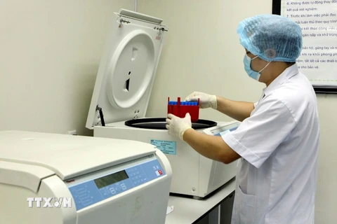 Đưa mẫu máu vào xét nghiệm theo kỹ thuật mới tại Viện huyết học truyền máu Trung ương. (Ảnh: TTXVN/Vietnam+)