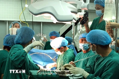 Một ca ghép tạng được các bác sỹ Bệnh viện Việt Đức tiến hành. (Ảnh: TTXVN/Vietnam+)