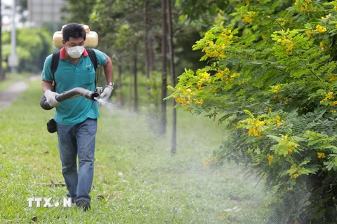  Nhân viên thú y phun thuốc khử trùng tại khu dân cư ở Singapore. (Ảnh: EPA/TTXVN)