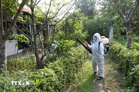 Điều tra, xác minh ổ dịch virus Zika tại tỉnh Trà Vinh 