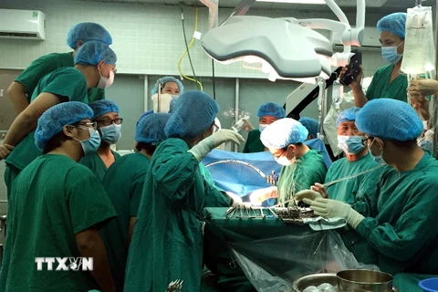 Một ca ghép tạng được thực hiện tại Bệnh viện Hữu Nghị Việt Đức. (Ảnh: TTXVN/Vietnam+)