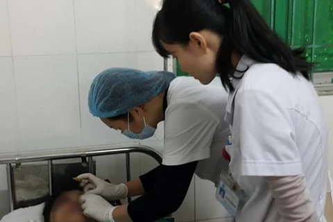 Các bác sỹ chăm sóc cho bệnh nhân. (Nguồn: PV/Vietnam+)