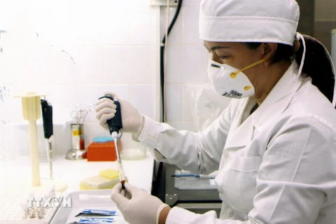 Nhân viên y tế làm các thủ tục xét nghiệm máu. (Ảnh: TTXVN/Vietnam+)