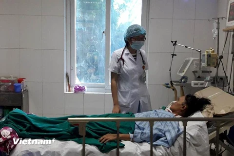 Một bệnh nhân bị sốt xuất huyết nặng đang điều trị tại Bệnh viện Bệnh Nhiệt đới. (Ảnh: T.G/Vietnam+)