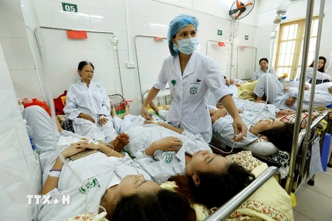 Qúa tải bệnh nhân điều trị sốt xuất huyết tại Bệnh viện Bạch Mai. (Ảnh: Dương Ngọc/TTXVN)