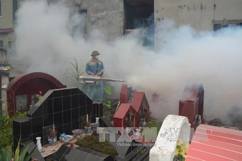 Phun hóa chất diệt muỗi tại khu vực nghĩa trang phường Láng Thượng, Hà Nội. (Ảnh: Tuyết Mai/TTXVN)