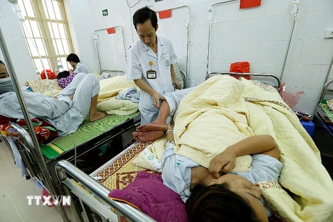 Bệnh nhân sốt xuất huyết điều trị tại Bệnh viện Bạch Mai. (Ảnh: Dương Ngọc/TTXVN)