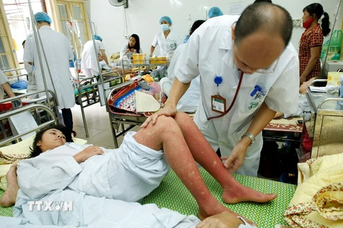 Điều trị cho bệnh nhân mắc sốt xuất huyết tại Hà Nội. (Ảnh: Dương Ngọc/TTXVN)