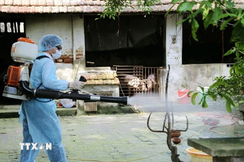 Phun thuốc diệt muỗi, lăng quăng, bọ gậy phòng chống dịch bệnh sốt xuất huyết tại cộng đồng. (Ảnh: Dương Ngọc/TTXVN)