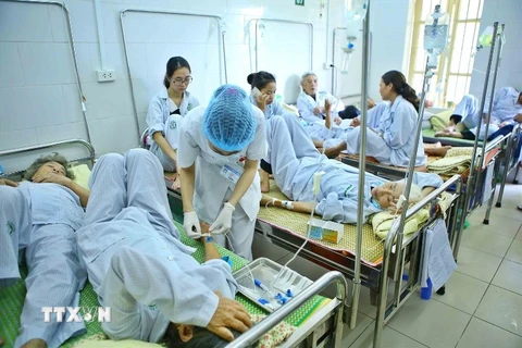 Quá tải bệnh nhân sốt xuất huyết tại Khoa Truyền nhiễm - Bệnh viện Bạch Mai tại Hà Nội trong đợt cao điểm. (Ảnh: Minh Quyết/TTXVN)