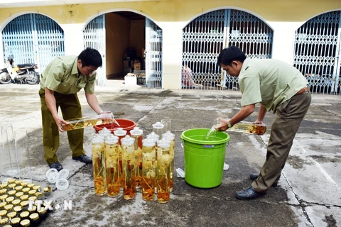 Lực lượng chức năng tiến hành tiêu hủy số rượu ngâm không rõ nguồn gốc xuất xứ. (Ảnh: Quang Thái/TTXVN)