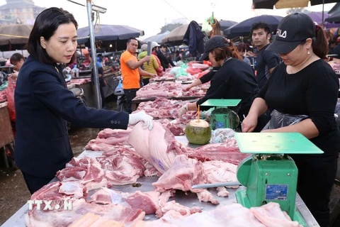 Nhân viên thú y kiểm tra an toàn vệ sinh thực phẩm tại Hà Nội. (Ảnh: Vũ Sinh/TTXVN)