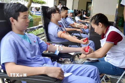 Các tình nguyện viên tham gia hiến máu nhân đạo. (Ảnh: Trung Kiên/TTXVN)
