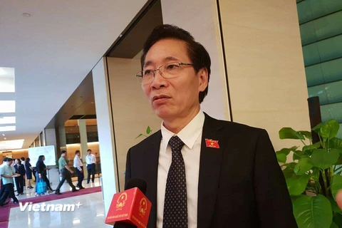 Đại biểu Quốc hội - luật sư Nguyễn Văn Chiến. (Ảnh: T.G/Vietnam+)