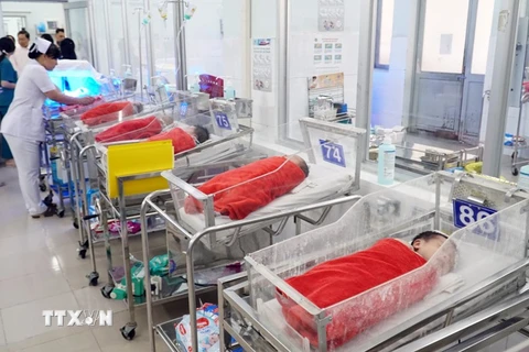 Chăm sóc trẻ sơ sinh non tháng tại Bệnh viện Nhi Đồng 2, Thành phố Hồ Chí Minh. (Ảnh: TTXVN)