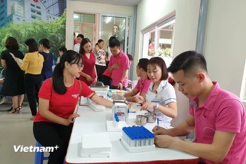Lấy mẫu máu xét nghiệm cho người hiến máu tình nguyện. (Ảnh: PV/Vietnam+)