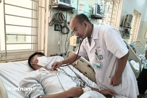 Điều trị cho bệnh nhân sốt xuất huyết tại Bệnh viện Bạch Mai. (Ảnh: T.G/Vietnam+)
