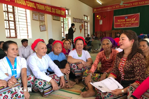 Sinh hoạt Câu lạc bộ Người cao tuổi lồng ghép công tác dân số kế hoạch hóa gia đình ở Nghệ An. (Ảnh: Bích Huệ/TTXVN)