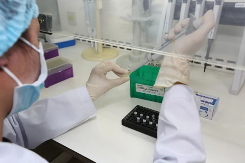 Test xác định virus SARS-CoV-2. (Ảnh: Dương Giang/TTXVN 