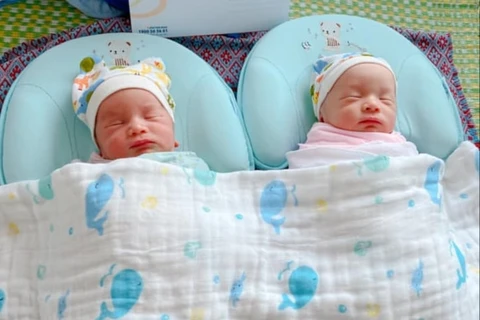 Hai bé mới sinh của vợ chồng thầy giáo Quách Văn Thị. (Ảnh: PV/Vietnam+)