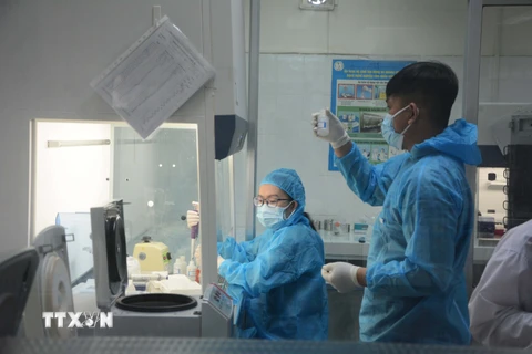 Các nhân viên xét nghiệm của Trung tâm Kiểm soát bệnh tật thành phố Đà Nẵng tích cực xét nghiệm các mẫu tiếp xúc gần với bệnh nhân mắc COVID-19. (Ảnh: Văn Dũng/TTXVN)