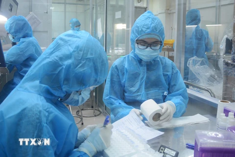 Nhân viên y tế tại Đà Nẵng kiểm tra các mẫu xét nghiệm. (Ảnh: Văn Dũng/TTXVN)