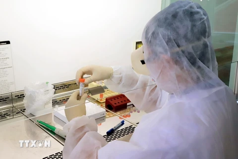 Cán bộ Trung tâm Kiểm soát bệnh tật tỉnh Quảng Ninh làm mẫu xét nghiệm bằng phương pháp PCR. (Ảnh: TTXVN phát)