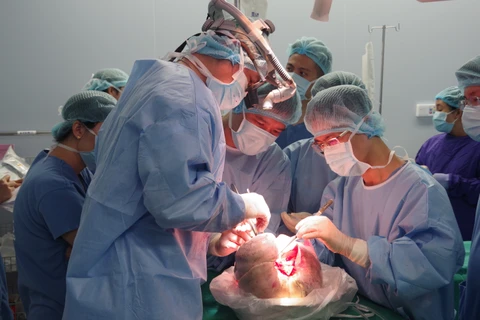 Bác sỹ Việt ghép tạng thành công cho 6 bệnh nhân từ 1 người chết não