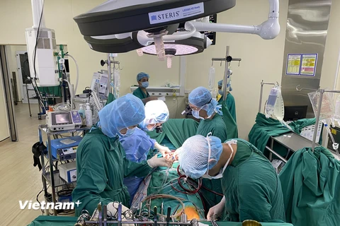 Các bác sỹ Bệnh viện tim Hà Nội thực hiện một ca phẫu thuật. (Ảnh: PV/Vietnam+)
